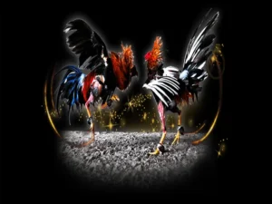 Cách Chơi Đá Gà Sabong Tại VNBet77 Dễ Hiểu Dành Cho Người Mới