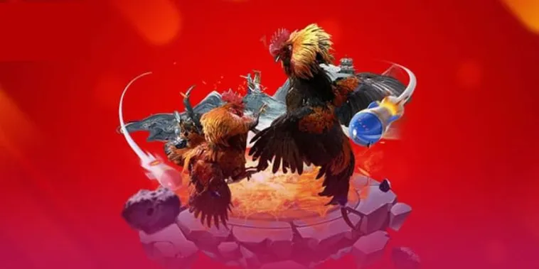 Trải Nghiệm Sảnh Cược Đá Gà VNBet77 Đỉnh Cao Kịch Tính Sôi Động Nhất