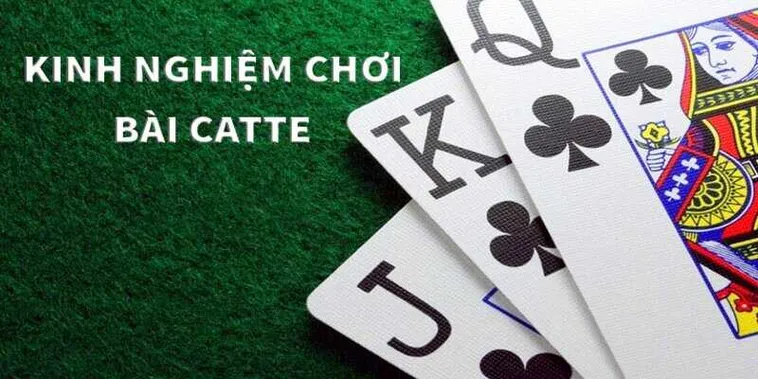 Cách Chơi Sắc Tê Nhà Cái VNBet77 Đơn Giản Cho Tân Thủ